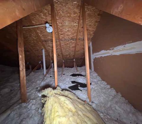 Trusses and sheathing