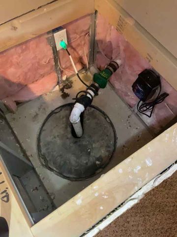 Primary pump only – no backup
