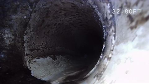 Root mass at the joint